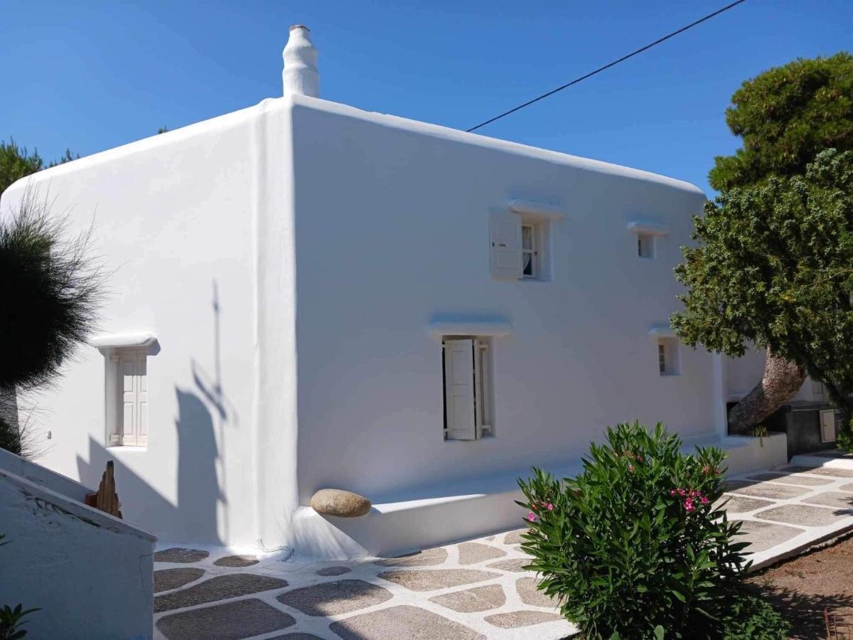 Cassaris Mykonos Villa Drafaki Eksteriør bilde